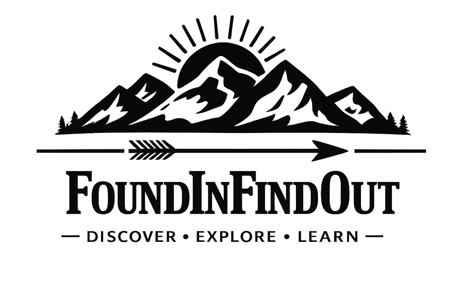 FoundInFindOut Logo
